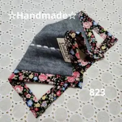 Item thumbnail for item 6c341a70-a080-4b98-8e02-c7f3fdd362b7