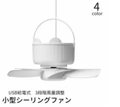 Item thumbnail for item 5da873e8-a94c-4272-8aba-53633640104c