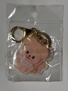 SXZ アクリルキーホルダー