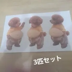 大人気　茶色プードル　メタボ犬シール3匹セット