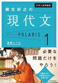 柳生好之の現代文ポラリス 1 基礎レベル