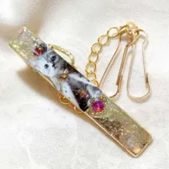 サバトラ王子様のミニキークリップ