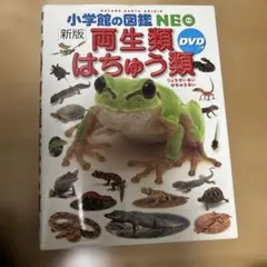 断捨離‼️小学館の図鑑NEO両生類・はちゅう類