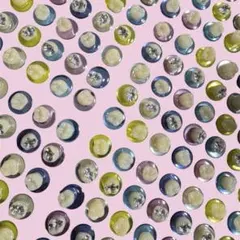 歯イルシール 歯シール ミックス10粒