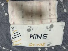 Item thumbnail for item 8d87c229-8975-4915-9c73-574e00542f7b