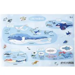 お風呂 ポスター 포켓몬 生態図鑑
