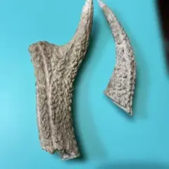 Item thumbnail for item 9df71272-9b82-4a1b-b78f-5120b3c56bad