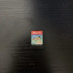 釣りスピリッツ Nintendo Switch バージョン