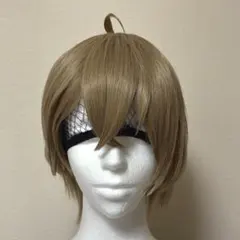 2026年最新】加賀美ハヤトウィッグの人気アイテム - メルカリ