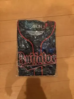 Item thumbnail for item 09dcbb77-a8e7-4449-9ff9-bd36f9f9a480