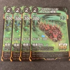 ゴクラクトリバネアゲハ