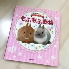 発送前値下げ中 学研の図鑑LIVE forガールズ もふもふ動物