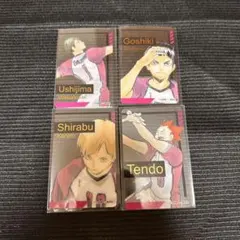 ハイキュー 箔押しクリアカード コレクション 白鳥沢 牛島 天童 白布 五色