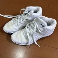 Item thumbnail for item ff87ffb6-9b14-4cae-b232-61f34b8855e3