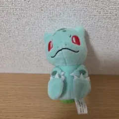 포켓몬 センター 이상해씨 プチぬいぐるみ グリーン