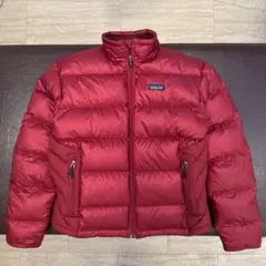 パタゴニア patagonia インサレーショングースダウン