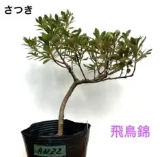 naru様 リクエスト 2点 まとめ商品