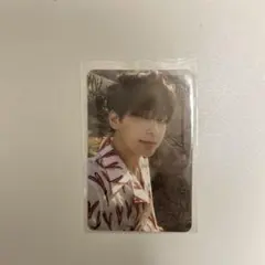 seventeen ヘンガレ ウォヌ トレカ