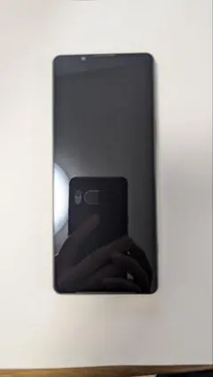 【ジャンク/箱付】Xperia 1 V XQ-DQ44 512GB 初期化済 ジャンク/箱付】Xperia 1 V XQ-DQ44 512GB 初期化済 - メルカリ