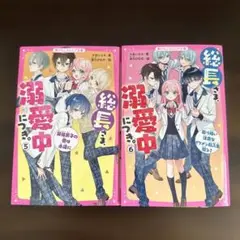 総長さま、溺愛中。5・6巻セット