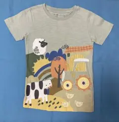 NEXT Tシャツ 110cmのサムネイル