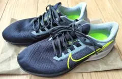 Item thumbnail for item 8664a985-3e25-43f3-aa5e-280ecd643e8c