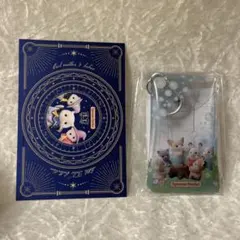 シルバニアファミリー　ノベルティ　クリアポーチ（シャボン玉） ポストカード