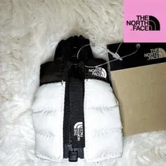 THE NORTH FACE ノースフェイスキーホルダー キーリング チャーム