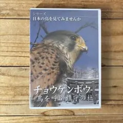 Item thumbnail for item fdc36ea9-3687-4df4-b289-164d5796f048