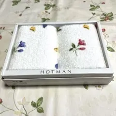 ホットマン　HOTMAN オシボリタオル2枚
