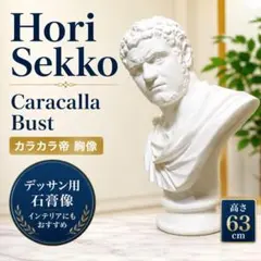 カラカラ帝胸像 石膏像 デッサン 美術 アート インテリア - メルカリ