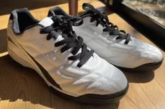 イグニオ　IGNIO ゴルフシューズ 25.5のサムネイル