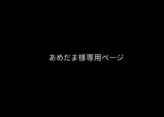 専用ページ