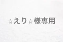 ⭐︎えり⭐︎様専用