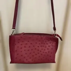 オーストリッチ ショルダーバッグ