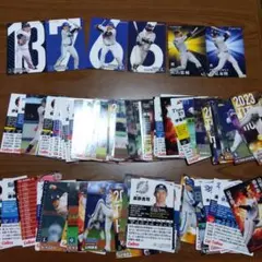 2023 2024年 カルビー プロ野球チップス カード 89枚 スター6枚