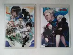 Fate ヤングエース アニメイト特典 ブロマイド 2枚セット (硬貨ケース入)