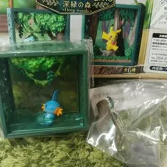 ポケモン　ミズゴロウ　ポケモンフレーム　深緑の森　リーメント