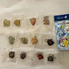 ポケモンミニメタル12点！