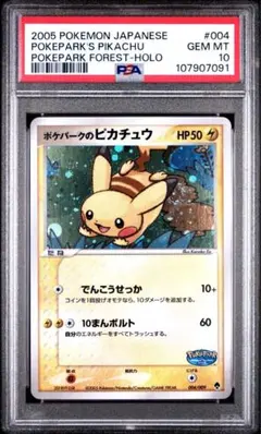 2025年最新】ポケパーク psa10の人気アイテム - メルカリ