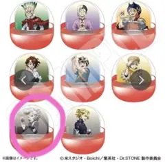 Dr.STONE ドクスト ホワイマンといっしょ カプセルアクリルスタンド ゼノ
