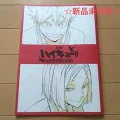 ハイキュー!! 劇場版イラスト集 ゴミ捨て場の決戦 大判画集