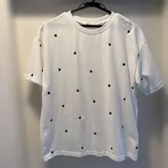 Item thumbnail for item 40acec29-e4d4-4edc-a388-9aa7f474dbfd