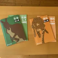 2025年最新】四谷大塚 予習シリーズの人気アイテム - メルカリ