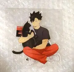 ハイキュー　黒尾鉄朗　猫部　アクリルスタンド