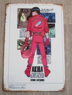 ニック様 リクエスト 2点 まとめ商品