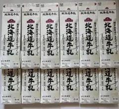【未解体・折り畳み】牛乳パック　同銘柄　12本分