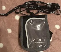 Item thumbnail for item c9ac5148-0050-487a-9546-bdb7c173be9f