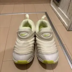 Nike ナイキ　ダイナモフリー 22㎝