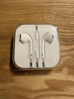 Apple 純正　イヤホン　有線　ケース付き